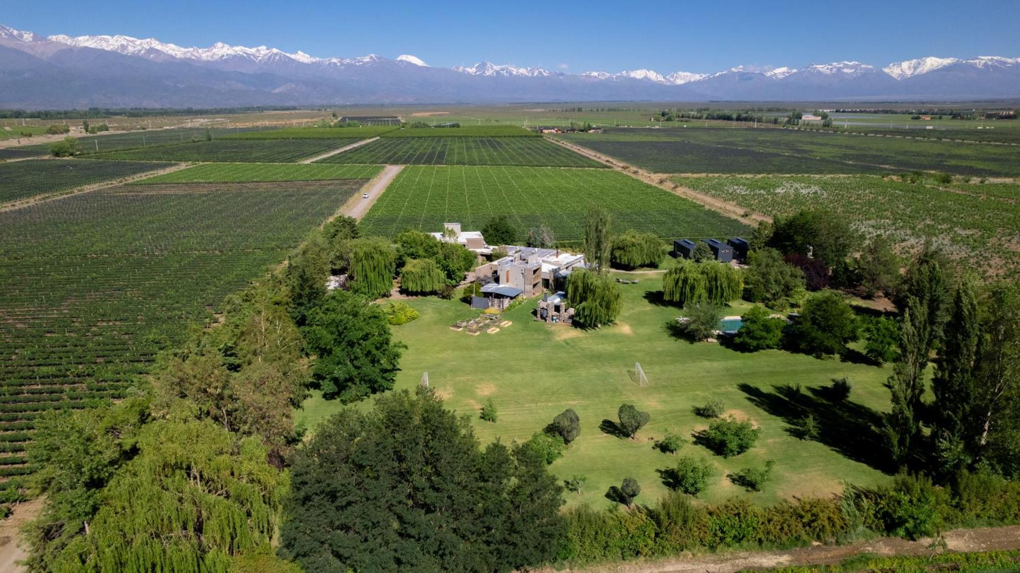 Гостьовий будинок Casa De Huespedes La Azul Los Arboles Екстер'єр фото