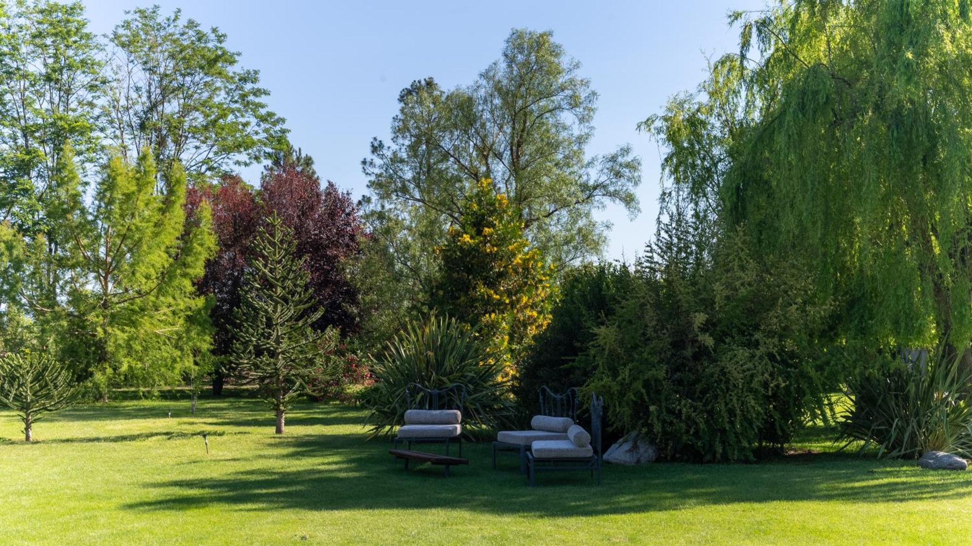 Гостьовий будинок Casa De Huespedes La Azul Los Arboles Екстер'єр фото